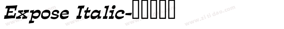 Expose Italic字体转换